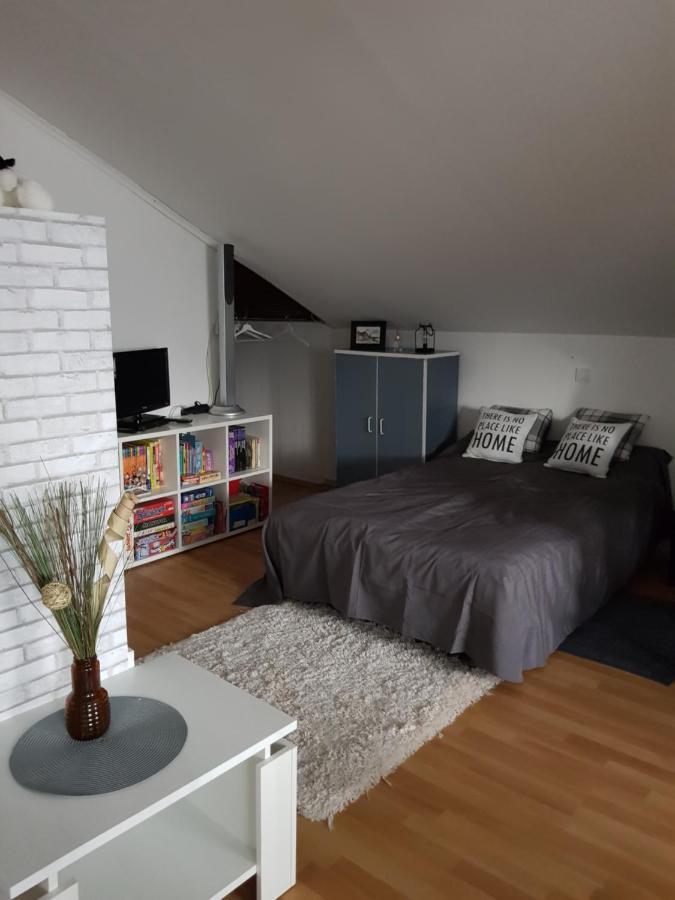 Apartman Atelier Karlovac Esterno foto